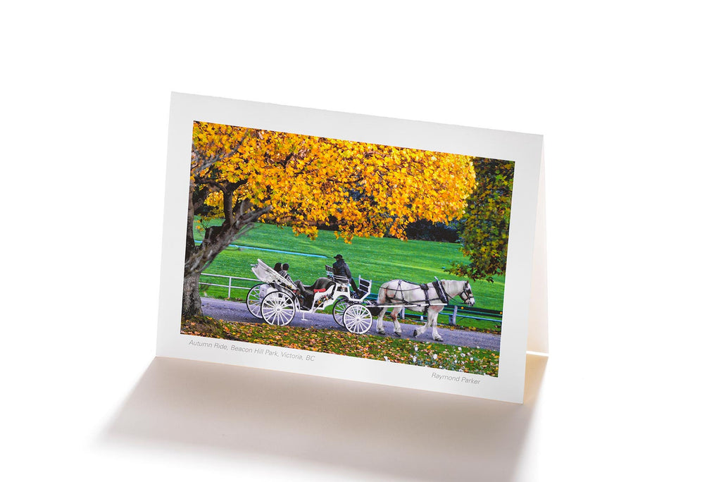 Autumn Ride, Beacon Hill Park, Victoria, BC (Greeting Card)