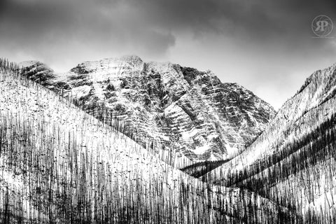 Winter Storm, Floe Peak, BC (Limited Edition Print)