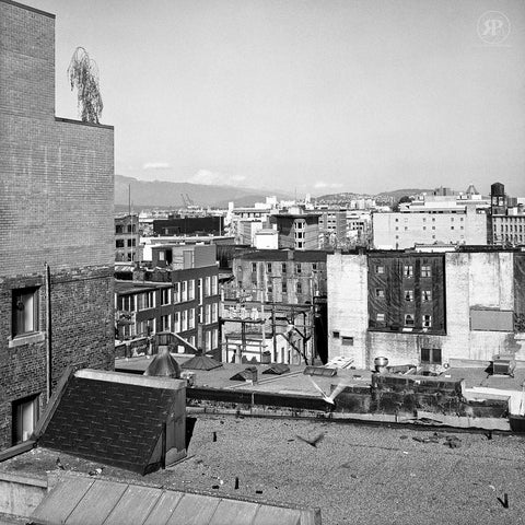 Lonely Tree, Gastown, Vancouver, 1984 (Unlimited Print)