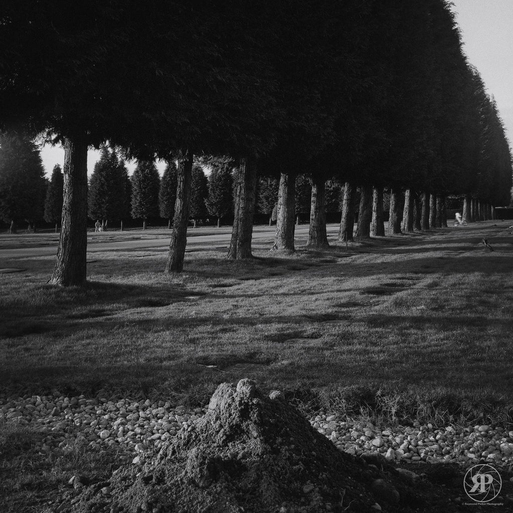 Mountainview Cemetery, Vancouver, 1984 (Limited Edition Print)